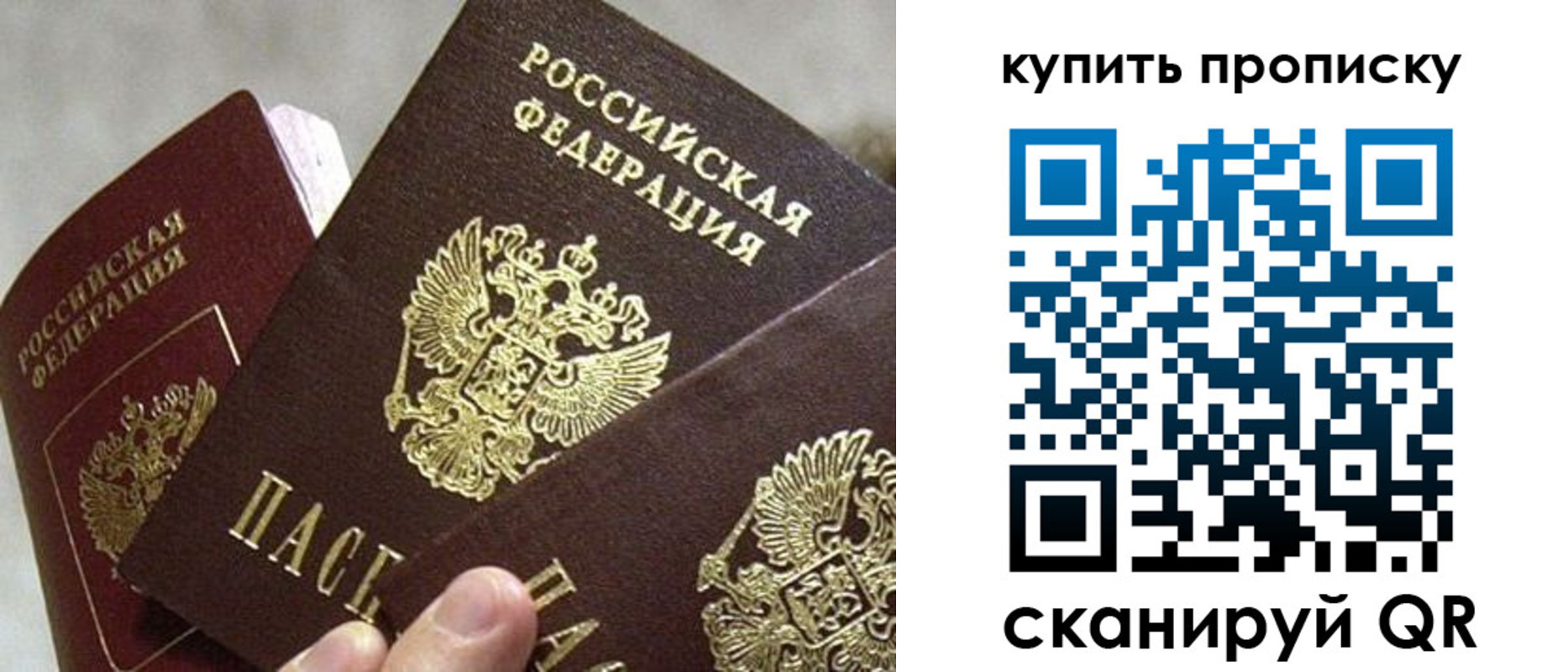 прописка для школы в Торопеце
